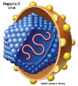 丙型病毒肝炎