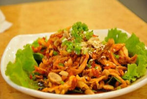 涼拌麻辣雞絲 涼拌麻辣雞絲