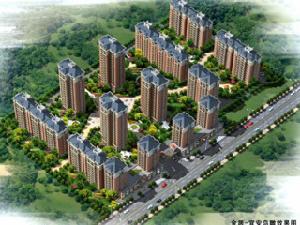 金居宜安 金居宜安