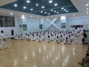 國際跆拳道聯盟