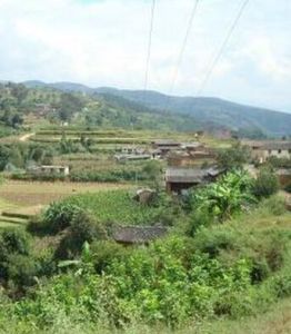 秧棚自然村 秧棚自然村