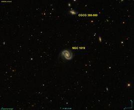 NGC 1019 NGC 1019