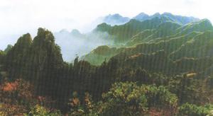 西峽伏牛山國家地質公園