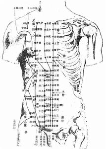 （圖）胸腹部經絡腧穴示意圖
