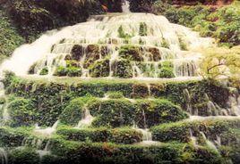 鳳凰泉村 鳳凰泉村