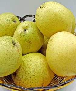 嚴州雪梨 嚴州雪梨