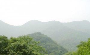 金華寺森林公園 金華寺森林公園