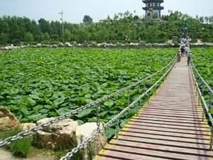 三農博覽園 三農博覽園