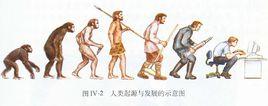 人類生命起源 人類生命起源