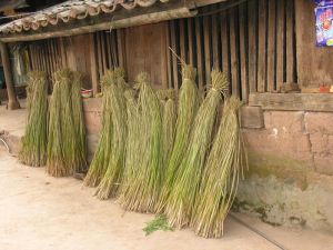 那卡組村 那卡組村