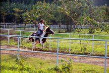 天涯驛站跑馬場