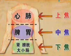 三焦辯證 三焦辯證