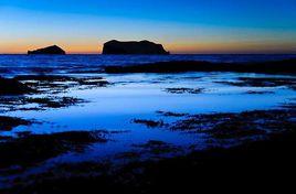 韋斯特曼納群島 韋斯特曼納群島