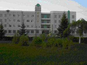 哈爾濱對青一中 哈爾濱對青一中