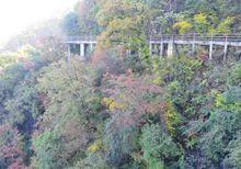 陝西少華山國家森林公園