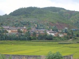 易家村自然村 易家村自然村