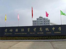 黃梅國際育才高級中學 黃梅國際育才高級中學