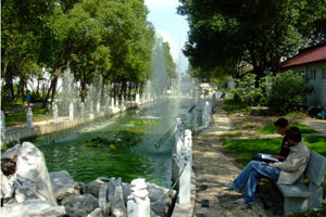 上海新僑職業技術學院