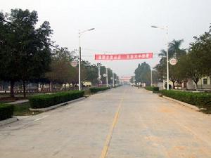 （圖）廣青農場