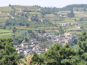 卡子密村-全村概貌