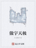 傲宇天極 傲宇天極