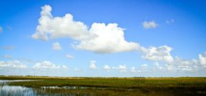 大沼澤地國家公園