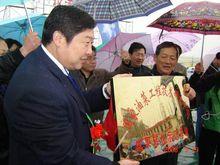 荊門油菜花旅遊節