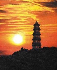 靈龜公園 靈龜公園