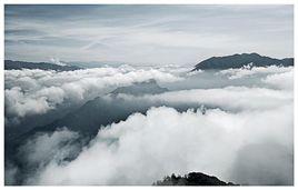 除卻巫山不是雲[2009年藤瓜著言情小說]