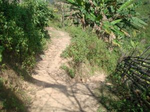 文廠河村 文廠河村