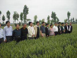 河南農科院種業有限公司 河南農科院種業有限公司