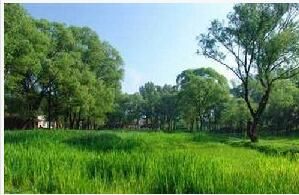 潮白河與減河交匯處濕地公園 潮白河與減河交匯處濕地公園