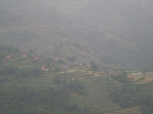 柑子坪村 柑子坪村