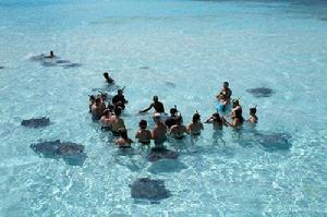 魔鬼魚城 魔鬼魚城