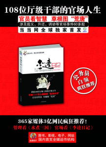 《李逵日記：廳級幹部李逵官場筆記》
