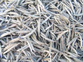 千丈白毫 千丈白毫