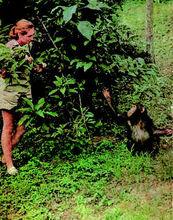 珍妮&middot;古多爾