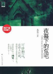 夜幕下的荒宅 夜幕下的荒宅