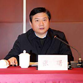 張曙[武漢市委常委、紀委書記，市監察委員會主任]