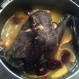 黃芪燉烏雞 黃芪燉烏雞