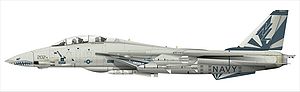 F-14雄貓式戰鬥機 F-14雄貓式戰鬥機