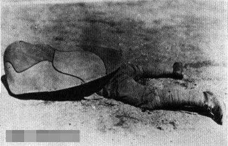 網路配圖 網路配圖