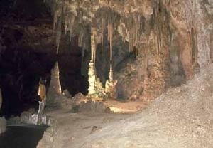 卡爾斯巴德洞窟國家公園