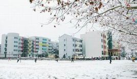 盤溪中學 盤溪中學