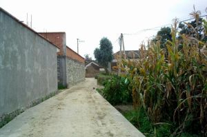 福西自然村 福西自然村