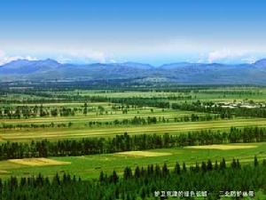 哈拉道口鎮 哈拉道口鎮