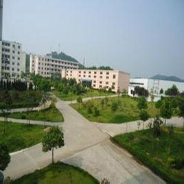 樅陽實驗中學 樅陽實驗中學