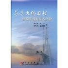 《蘇通大橋工程管理實踐與基本經驗》