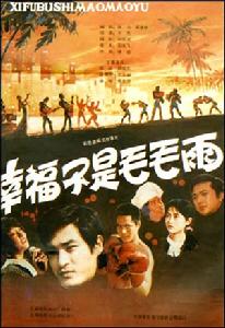 幸福不是毛毛雨 幸福不是毛毛雨