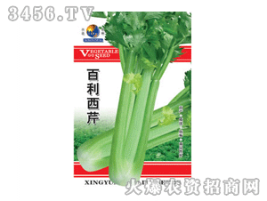 百利西芹 百利西芹